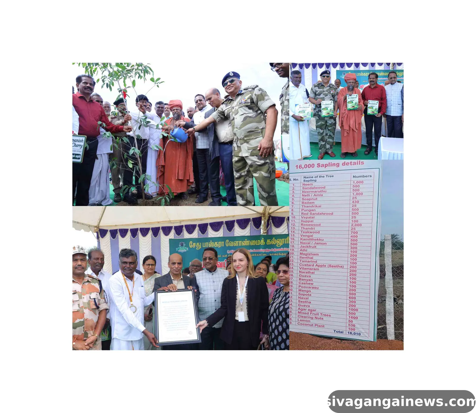 மண்ணில் 16,000 வேர்கள்… வரலாற்றில் ஒரு பசுமைச் சுவடு !